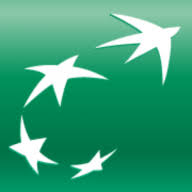 Logo Fortis Bank SA NV (Singapore Branch)