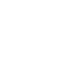 Logo SGT SAS