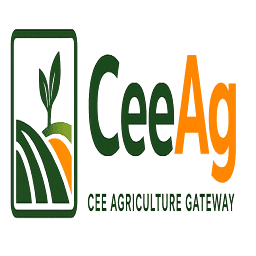Logo CE Energy Holding AG