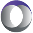 Logo Login Consulting Services, Inc.