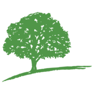 Logo Ranmore Fund Management Ltd.