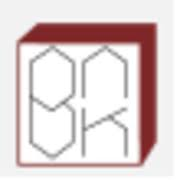 Logo BNK Securities Pvt Ltd.