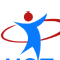 Logo VST Consulting, Inc.