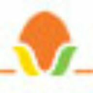 Logo Rembrandt Enterprises, Inc.