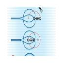 Logo The Baby Fold