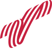 Logo Venus Group, Inc.
