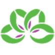 Logo Alternatives Federal Credit Union
