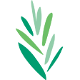 Logo Reconstructionist Rabbinical College