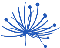Logo Hospice of Montezuma, Inc.