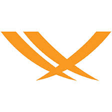 Logo Valiant Solutions LLC