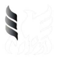 Logo R.E. Phelon Co., Inc.