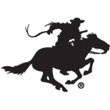 Logo Browning