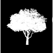 Logo Green Ash Partners LLP