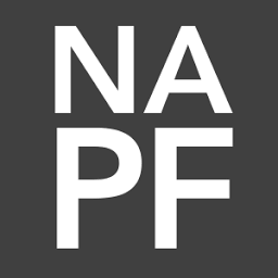 Logo Nuclear Age Peace Foundation