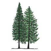 Logo GT Timber Ltd.