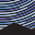 Logo Mcdonald Observatory