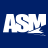 Logo Aviation Services Management Ltd.
