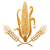Logo Maselis