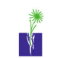Logo Domus Assistenza SCS