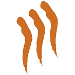 Logo Realmargi SRL