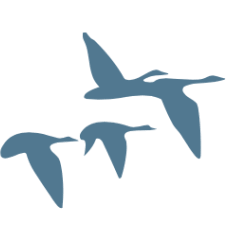 Logo Bjurfors AB