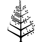Logo Four Seasons Beechcare Ltd.