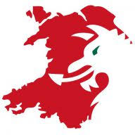 Logo Dragon LNG Group Ltd.