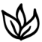 Logo Terragaia