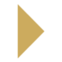 Logo Selected Brands Nordic AB