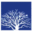 Logo Lokaty Budowlane SA