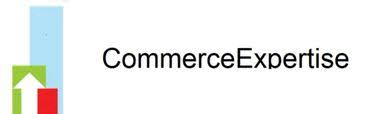 Logo eCommerce Expertise