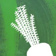 Logo Riverford Organic Farmers Ltd.