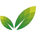 Logo The Rashi Foundation