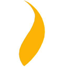 Logo National Energy Regulator of South Africa