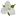 Logo Trillium Lakelands District School Board
