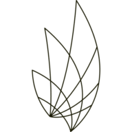 Logo BTY Quantity Serveyors BC Ltd.