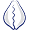 Logo Cyprea Lanka Pvt Ltd.