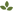 Logo Rural American Fund