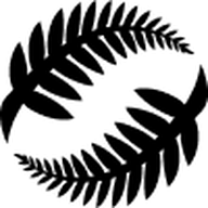 Logo New Zealand Football