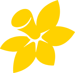 Logo Cancer Council SA