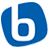 Logo Bluechiip Ltd.