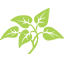 Logo J.R. McKenzie Trust