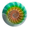 Logo Gomes & Co.