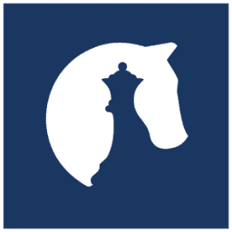 Logo Den Haag Centrum voor Strategische Studies (HCSS) BV
