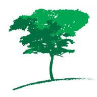 Logo Albizia Capital Pte Ltd.