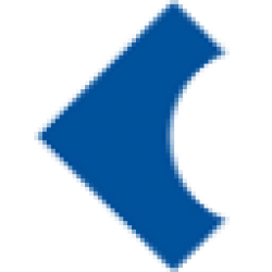 Logo Biometrics Institute Ltd.