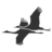 Logo Sandhills Global, Inc.