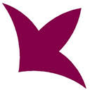 Logo University of Lleida