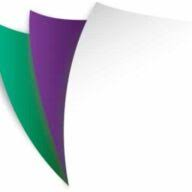 Logo Papico Ltd.