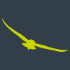 Logo The Share Foundation (United Kingdom)
